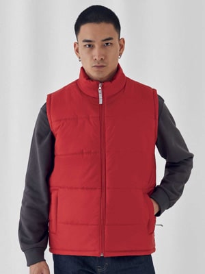 https://www.regoli.info/catalog/giacche-b-e-c/images_ante/BCJM930_Bodywarmer_Men